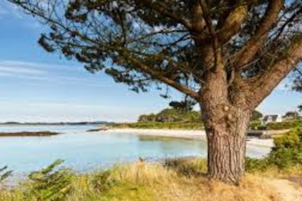 Gite Entre Mer Et Abers Лендеда Экстерьер фото