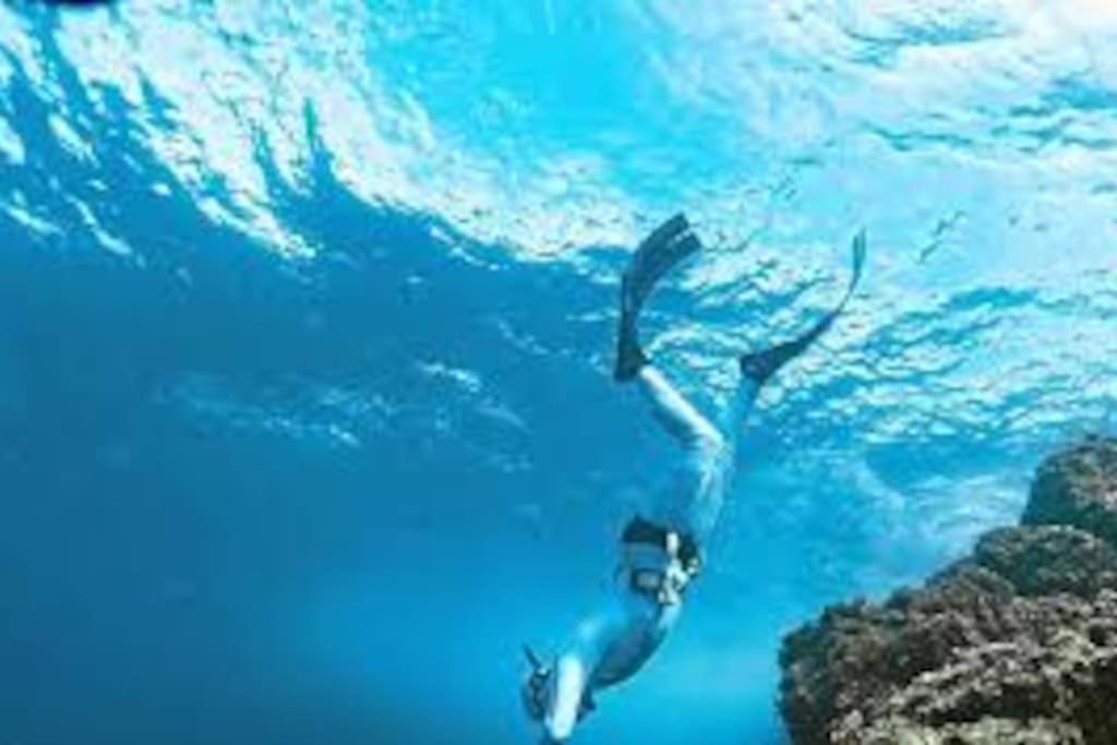 Gite Entre Mer Et Abers Лендеда Экстерьер фото